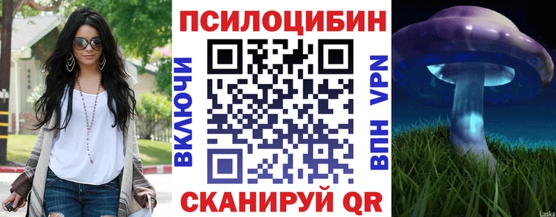 где купить   Евпатория  Псилоцибиновые грибы Psilocybine cubensis 