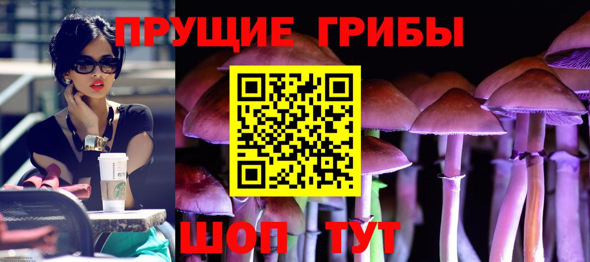 Галлюциногенные грибы мицелий Евпатория